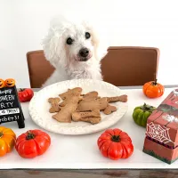 ハロウィンに米粉クッキー👻|Ｌilicaさん