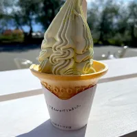 オリーブ🫒ソフト　オリーブオイルかけ|901さん