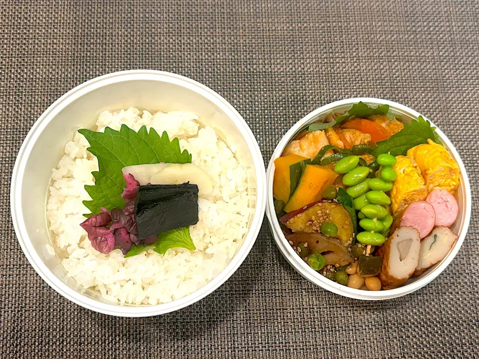 高校生息子のお弁当🍱 鶏肉の甘辛炒め弁当🍱|Snow10さん