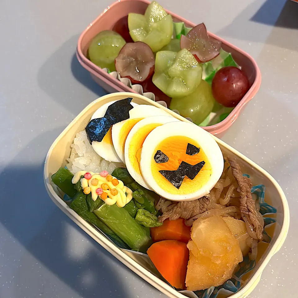 肉じゃが弁当|matumotommさん