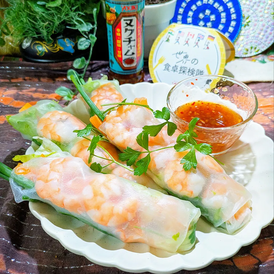 🌏『世界の食卓探検隊』🇻🇳ベトナム料理
【🇻🇳生春巻きとヌクチャムソース】|ayaさん