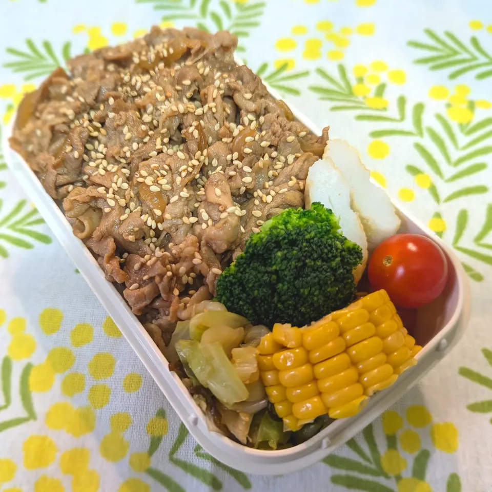 10/29 お弁当|ごるびーさん