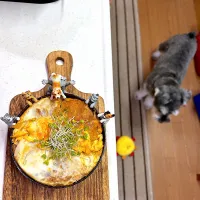 ヒレカツ丼弁当|cafe3733さん