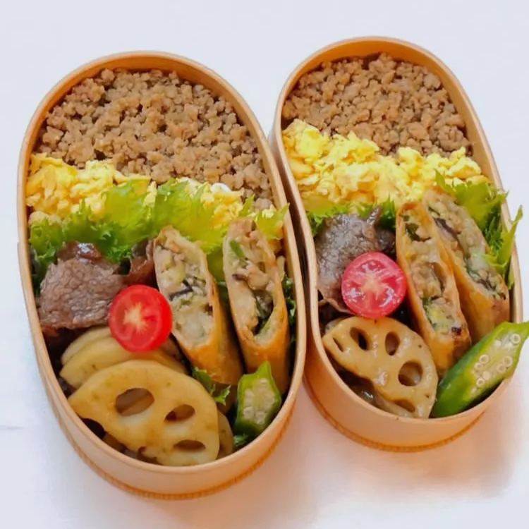 鶏そぼろに
春巻き&牛肉とレンコンの甘辛煮
お弁当♡ ﾟ+｡:.ﾟ|ohanaさん