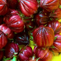 採れたてローゼル|Megumiさん