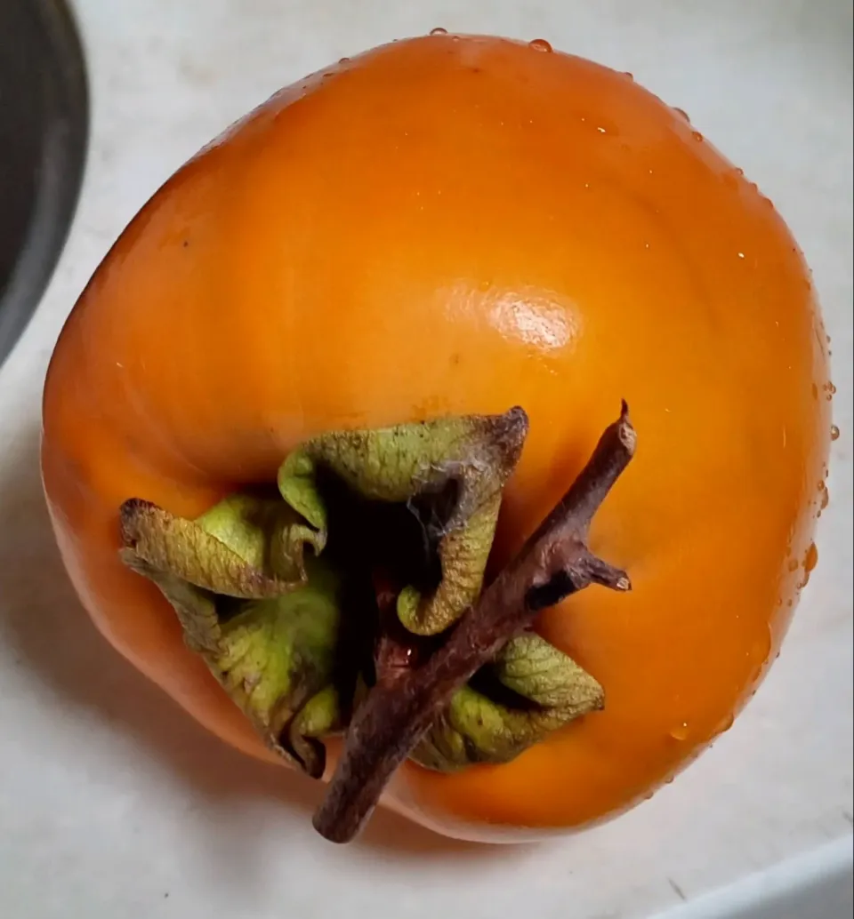 干し柿|よっちびやばんぶーさん