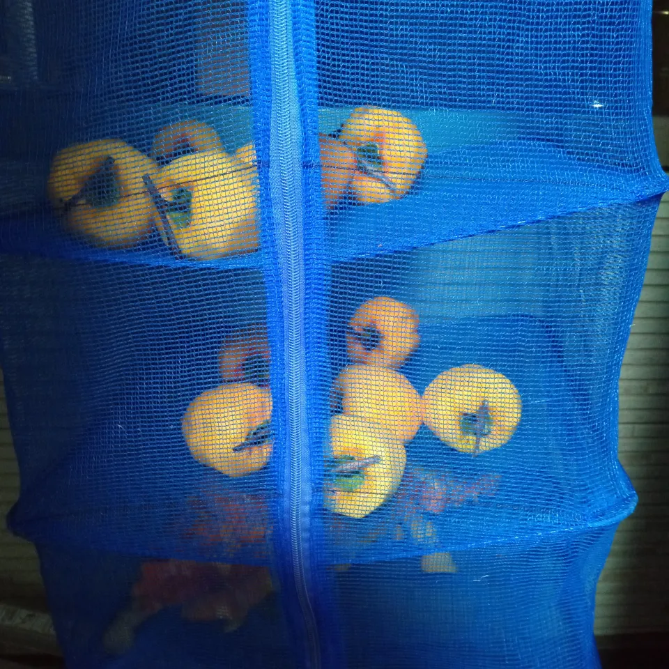 干し柿　2025年10月29日　1日目|よっちびやばんぶーさん