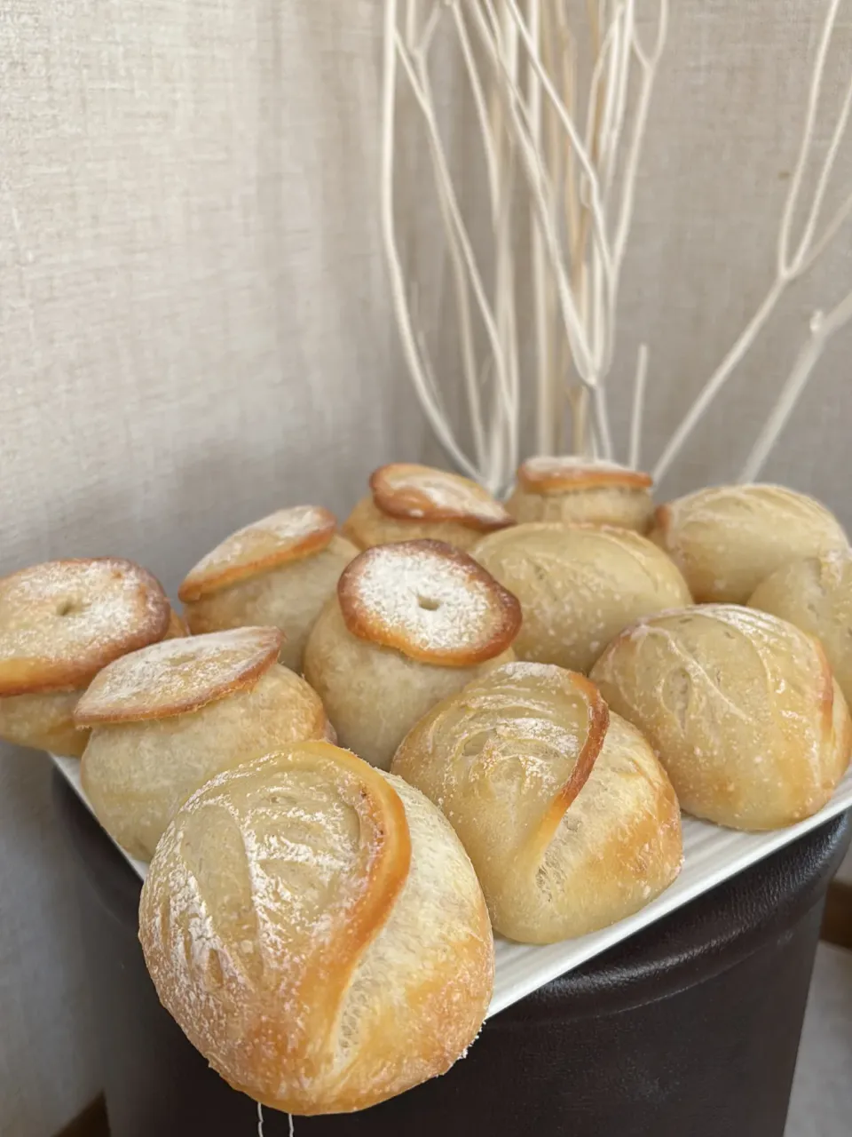 タバチェールとシャンピニオン|みゆぞうさん