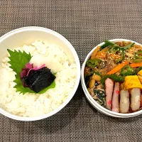 高校生息子のお弁当🍱 チャプチェ弁当🍱| Snow10さん