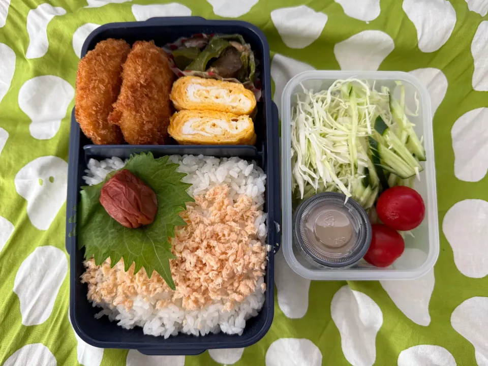 鮭フレーク弁当|ヒグッチさん