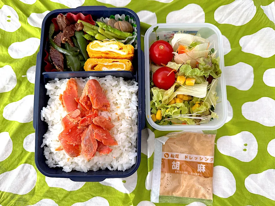 高級鮭フレーク弁当|ヒグッチさん