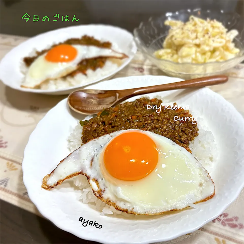 ドライキーマカレー|亜矢子さん