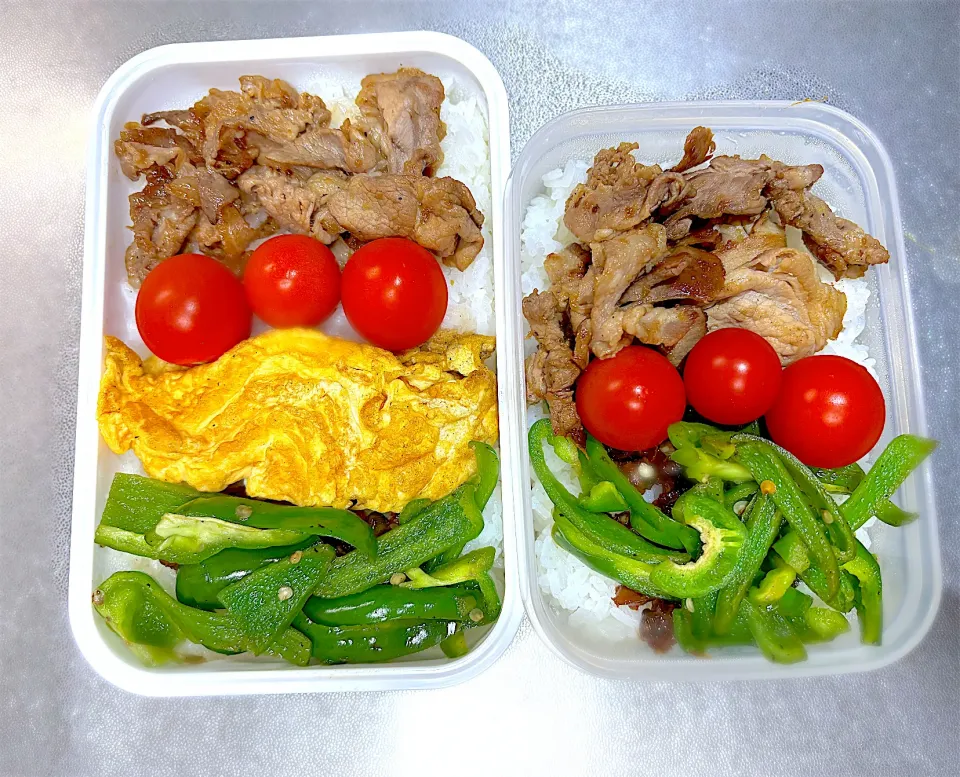 10/31  子の弁当&自分弁当|なかちゃんたまごさん