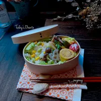 |meg*ˊᵕˋ*megさん