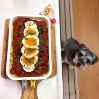 ボロネーゼスパゲッティ弁当| cafe3733さん