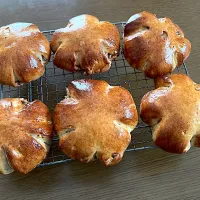 くるみパン|ゆだともさん