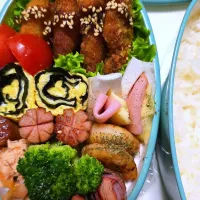 チキンカツ弁当🍱| みみさん