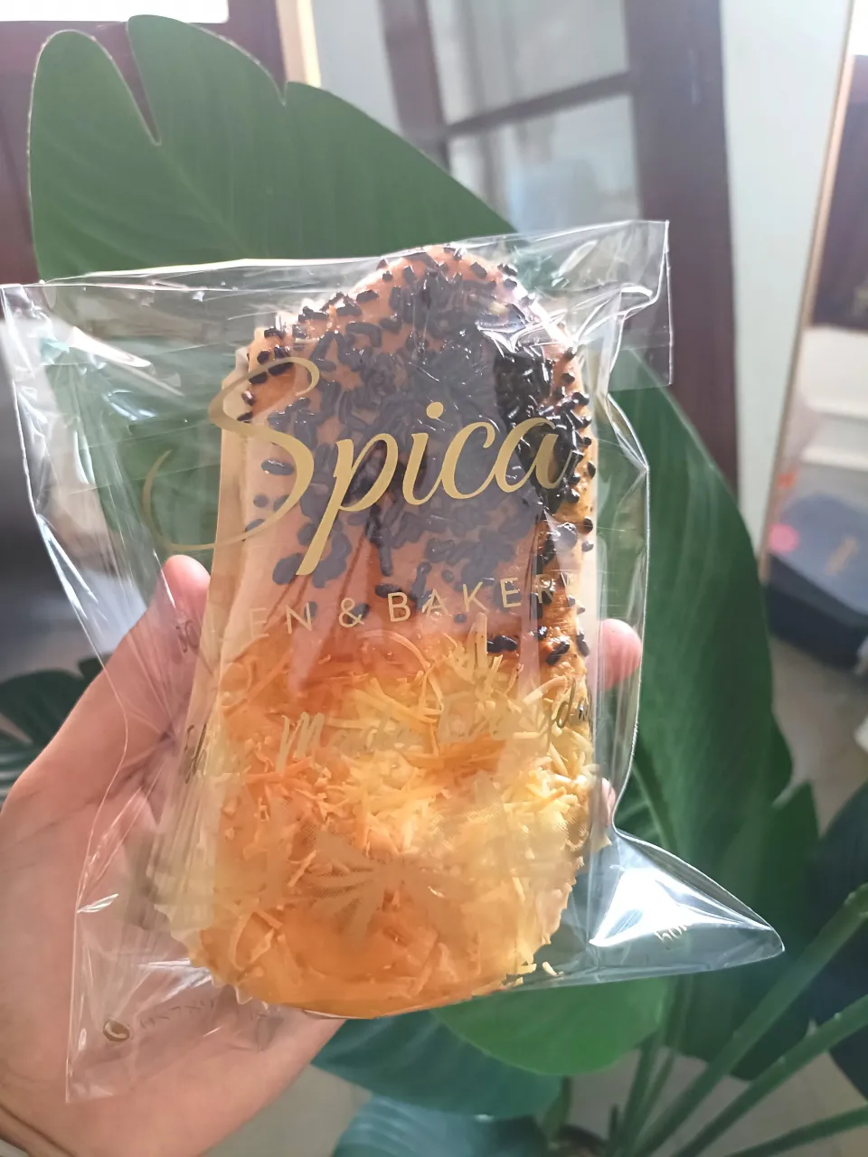 |Christina Spicaさん