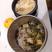 10月30日|maimaipapaさん