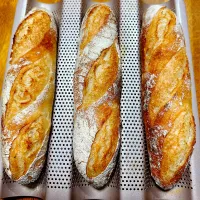 Blueberry🫐さんの料理 捏ねないオーバーナイト・リュスティック|Blueberry🫐さん