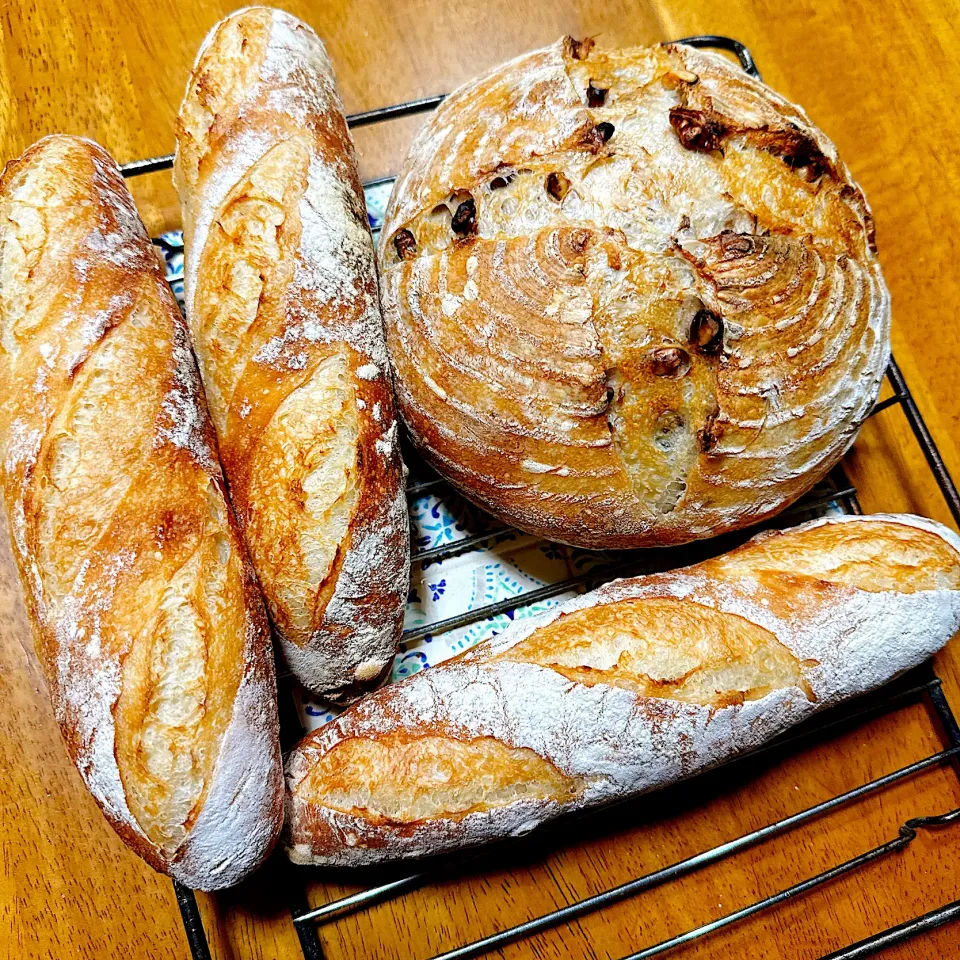 2025/11/01 リスドォル🐿️のバタールと胡桃入りカンパーニュ|Blueberry🫐さん