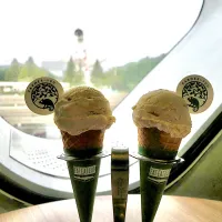 ニフレル にて「マダガスカルバニラアイスクリーム」|Hiro Yanさん