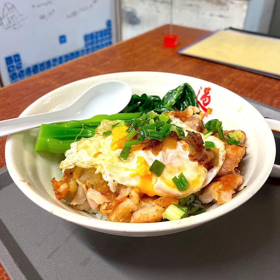 Deep-Fried (Pork Chop/Chicken Breast) &
Eggs w/ Veg Rice in Soy Sauce|skyblueさん
