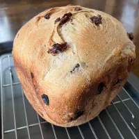 黒糖レーズンパン|ななごさん