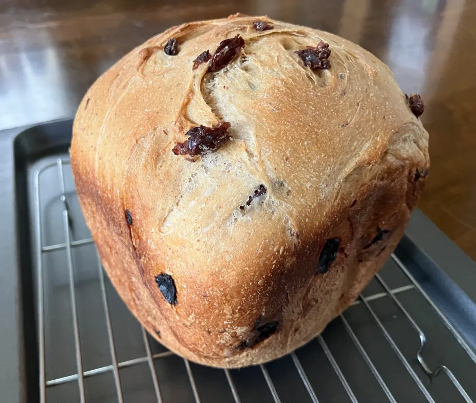 黒糖レーズンパン|ななごさん