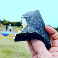 お孫とピクニックで🍙おにぎりアクション|とまと🍅さん