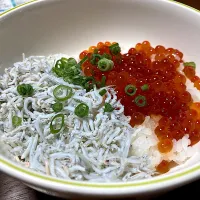 いくらしらす丼