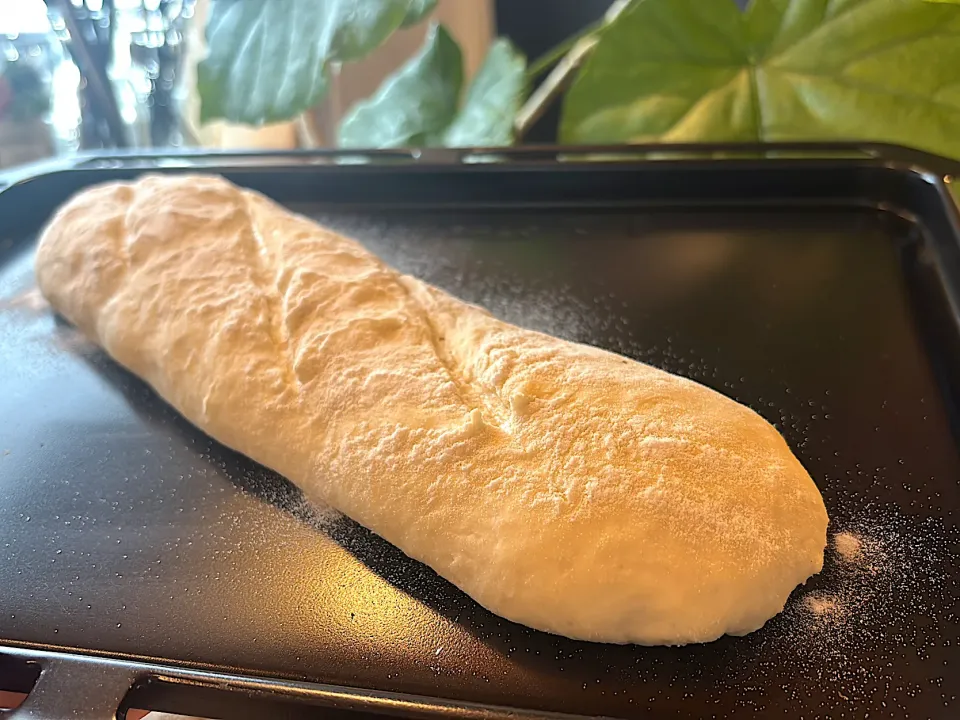 朝フランス🇫🇷ビホァアフ|まぁちゃん♡さん