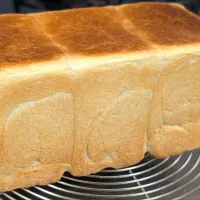 今週の食パン|f.1125beさん