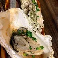 | tomo12230310さん