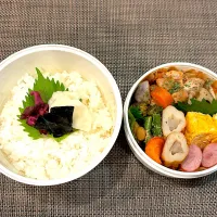 高校生息子のお弁当🍱 チキンのトマト煮込み弁当🍱|Snow10さん