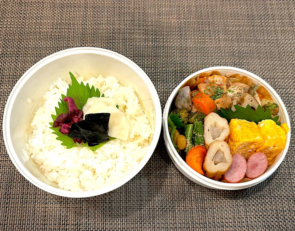 高校生息子のお弁当🍱 チキンのトマト煮込み弁当🍱|Snow10さん