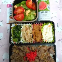 🍀2025/1104(火)生姜焼き弁当|ともちんさん