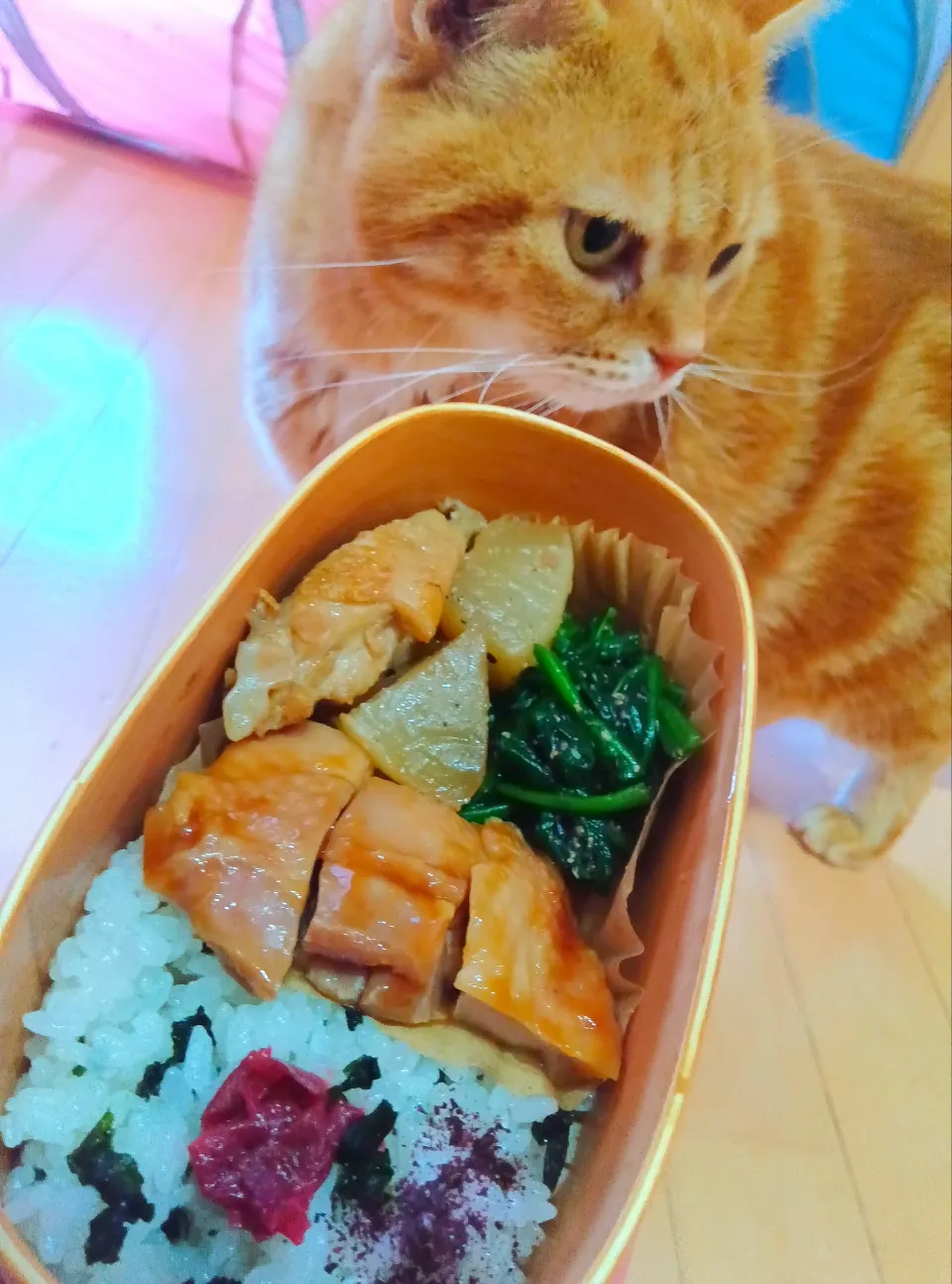 鳥照り焼きお弁当🍱|さくらんぼさん