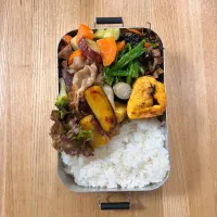 11月4日お弁当|auloraさん