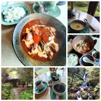 ビーフシチュー|うたかた。さん