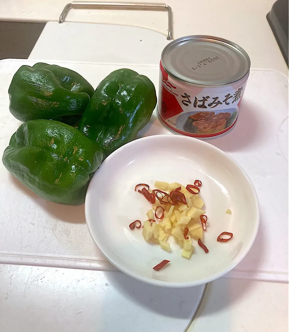 今日の晩ご飯①  さばみそ煮缶とピーマンの生姜炒め　三連休前に食べた鯖のアヒージョに使ったピーマンの残りが萎びてきたので消化メニューです。ピーマン1袋5個入りは一人暮らしには多すぎていつもピーマン問題に悩まされます。|なびさん