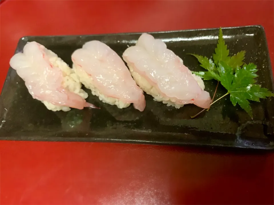 タカエビの握り寿司|あさこさん