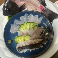 釣れたグレで姿造り|みやさん