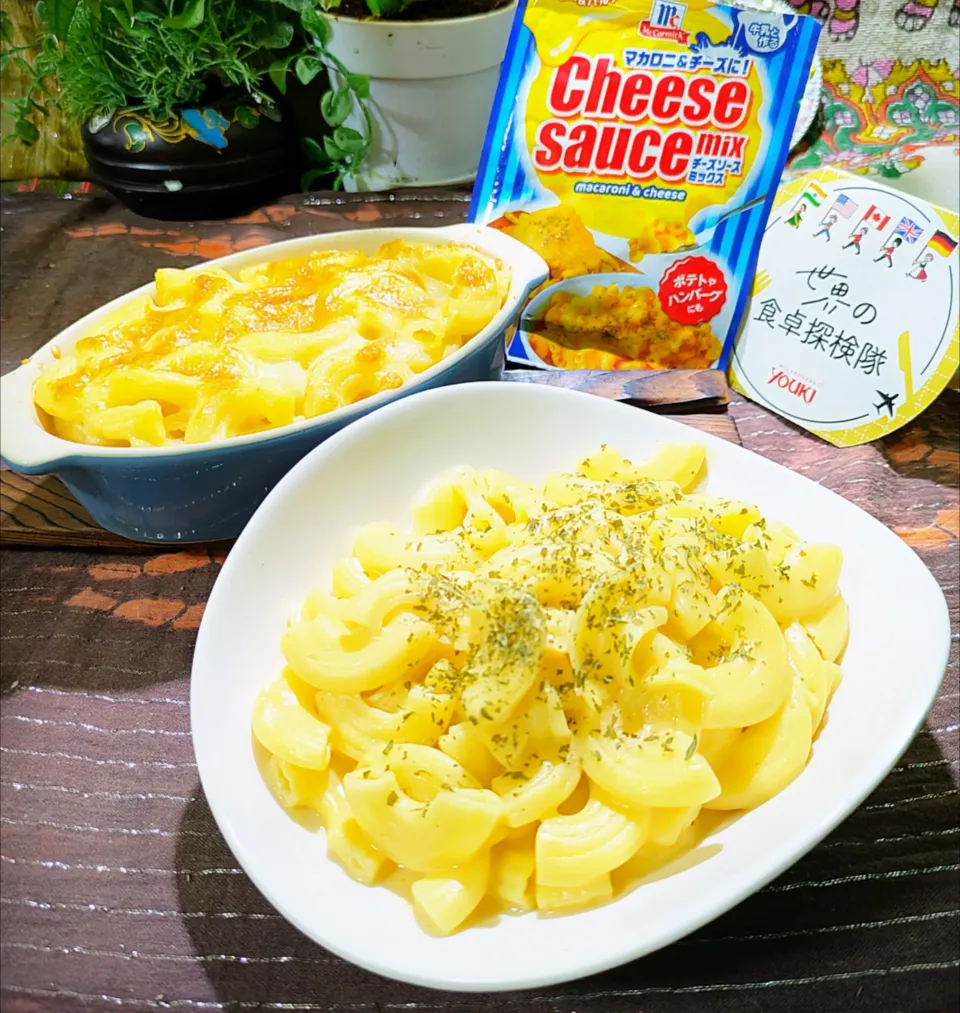 🌏『世界の食卓探検の旅』
【🇺🇸マカロニチーズ】|ayaさん