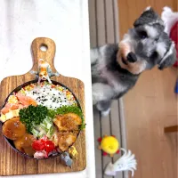 麻婆里芋と肉団子弁当|cafe3733さん