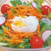 本日のサラダ弁当|ゆうかさんさん