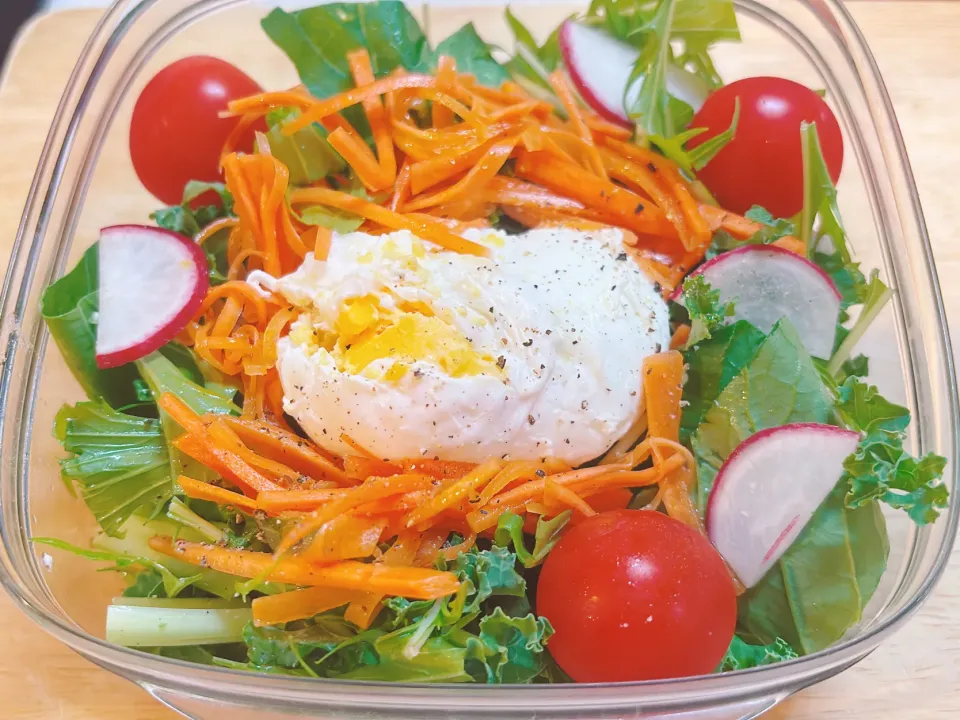 本日のサラダ弁当|ゆうかさんさん