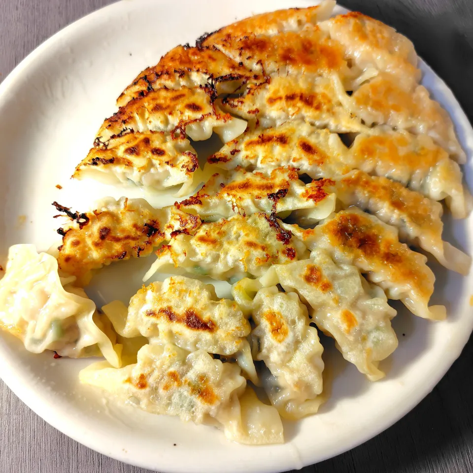 青ネギ餃子|ハイドランジアさん