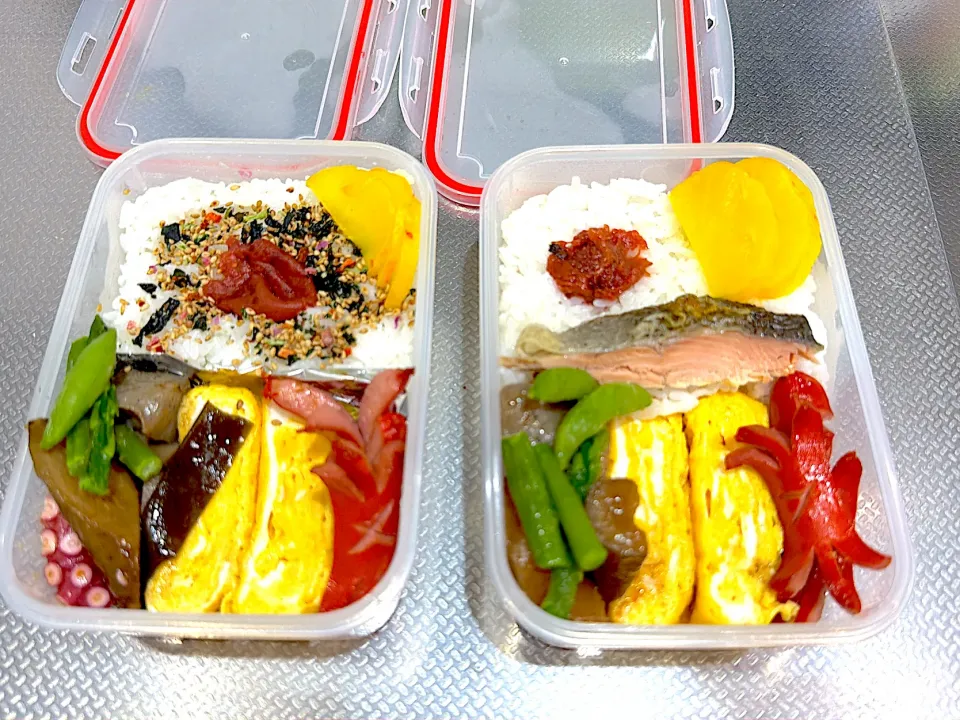 今日のお弁当|ハガネメンタルさん