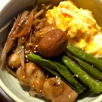 今日の晩ごはん|あやおさん